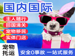 朝阳机场托运国际宠物托运 【国